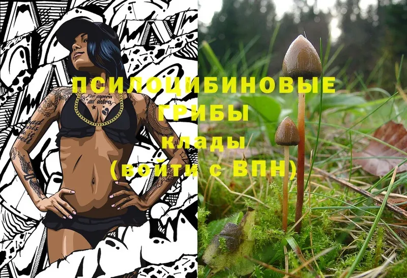 Галлюциногенные грибы Magic Shrooms  Красавино 